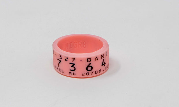 Pink Silicone Duck Band Ring - MIGR8 Rings